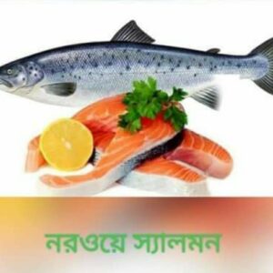 Norwegian Red Salmon (5-7/kg)
