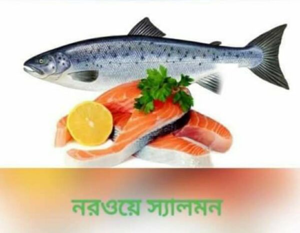 Norwegian Red Salmon (5-7/kg)