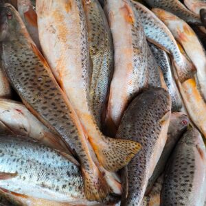 Powa Fish (1-2/kg)