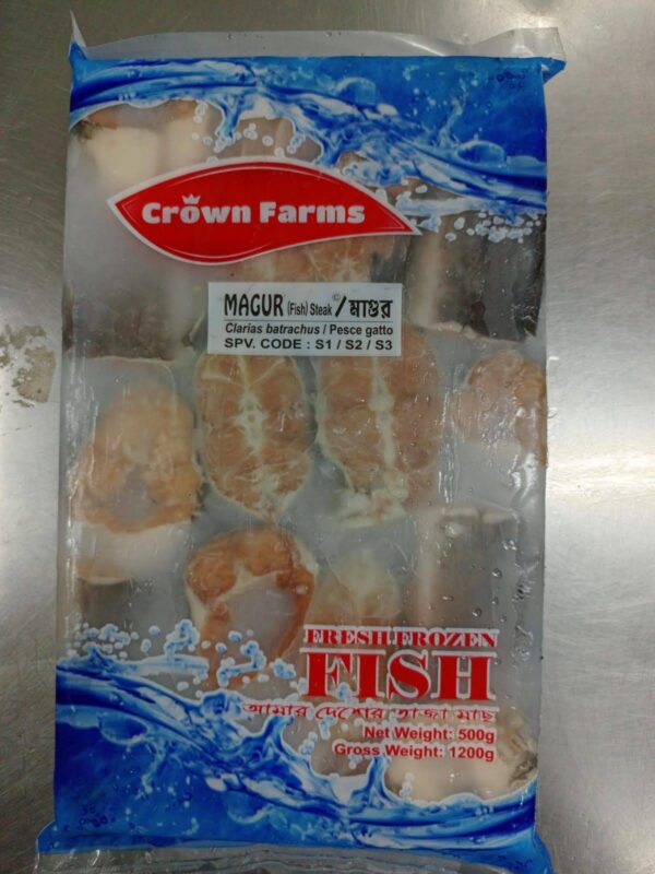 Magur Fish