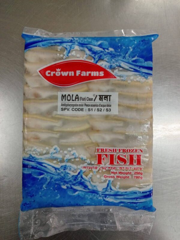 Mola Fish