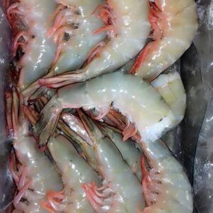 Prawn Headless(50-60pcs)