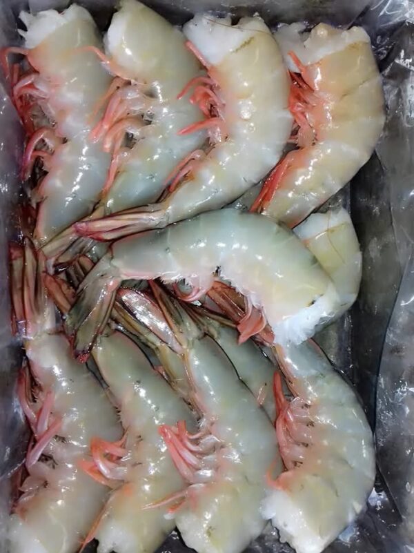 Prawn Headless(50-60pcs)