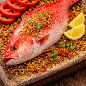 Redsnaper (Red Koral) 2-8,9kg