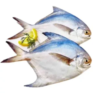 Rupchanda  (2pcs) 1kg